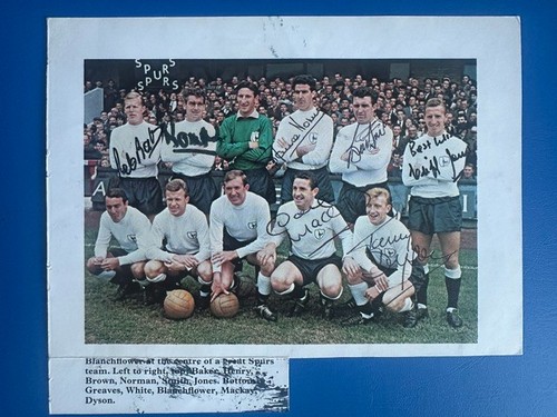 Tottenham hotspur multi signed - hotspur,