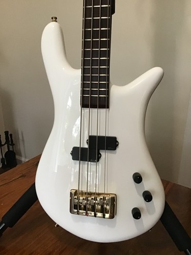 Spector euro sig bass - ih,