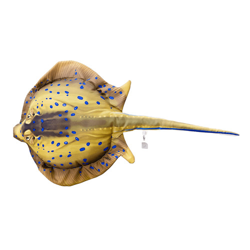 Gaby fish pillows - gaby,
