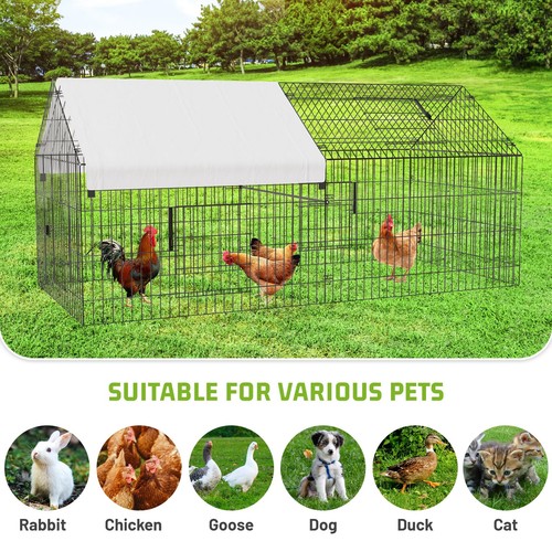 Large chicken run - large,