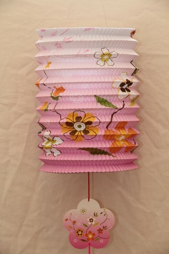 Chinese paper lanterns - chinese,