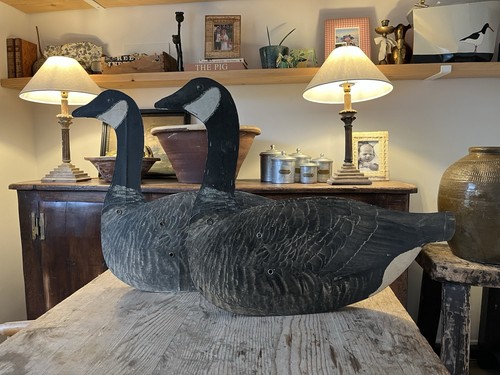 Canadian goose decoy johnson - decoy,