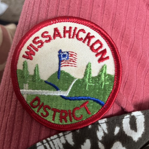 American boy scout vintage - american,