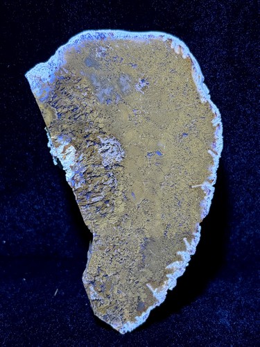 Moss agate slabs - slabs, polished