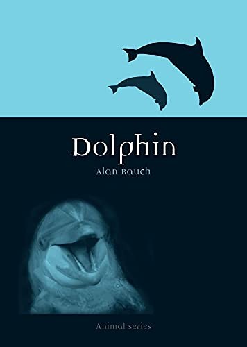 Dolphin alan rauch - dolphin, (animal),