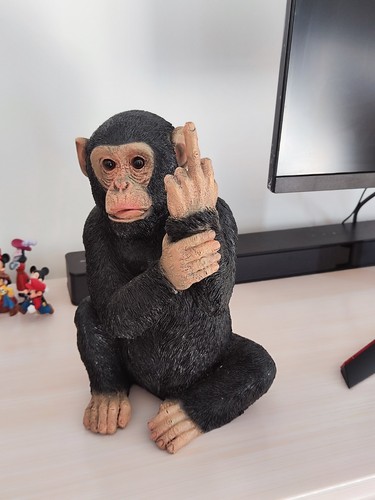 Monkey