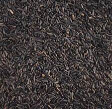 Niger Seed - High Energy Wild Bird Mixture 100g 500g 1kg 2kg 5kg 10kg 15kg 25kg