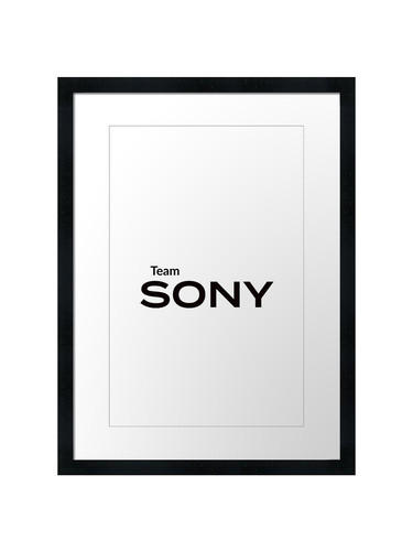 Team sony framed wall - framed,