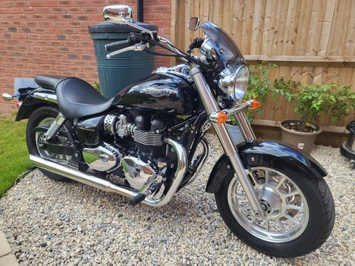 Triumph speedmaster america - triumph,