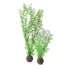 BiOrb Winter Flowers Plant