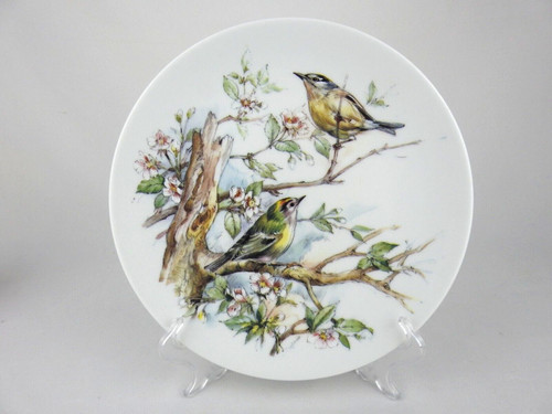 Royal worcester birds - ⭐,
