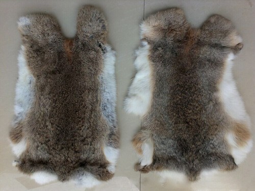 Real rabbit skin - real,