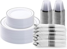 VIP Sier Plastic Dinnerware