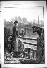 Antique Print 1887 Dilemma Lady Pet Dog Fence Field Cows Farm Animals Dadd 19th