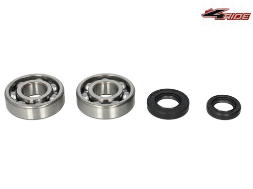 Crankshaft bearings set with - set,