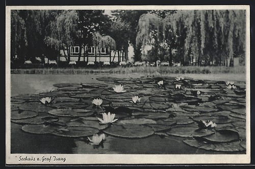 Seeburg eichsfeld postcard - /,