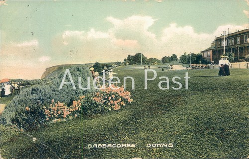 Babbacombe downs vintage - downs,