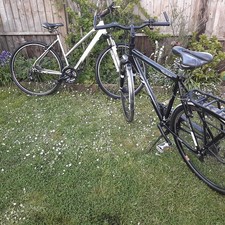 Raleigh Pioneer Jaguar And