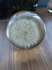 Vintage Lucite Dandelion Head
