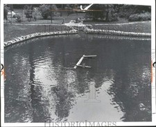 1966 Press Photo Wooden saw horse in Palmer Park pond, Detroit, Michigan