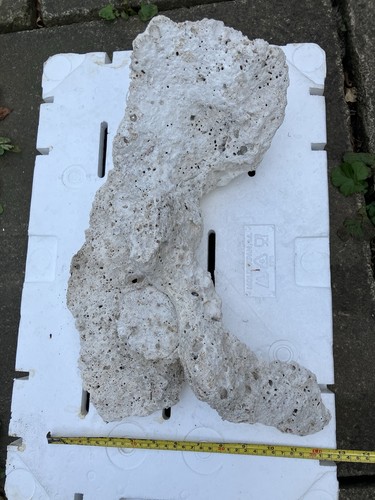 Pl2 stunning dry tonga plate - pl2,