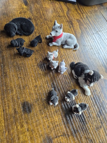Puppy pocket animal - in,