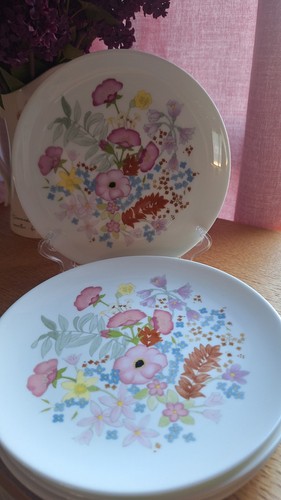 Wedgwood meadow sweet - x,