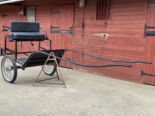 Horse cart pony - pony, trap