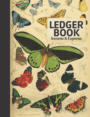 Ledger book income and - book:,