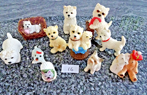 Used westies lot 16 - x,