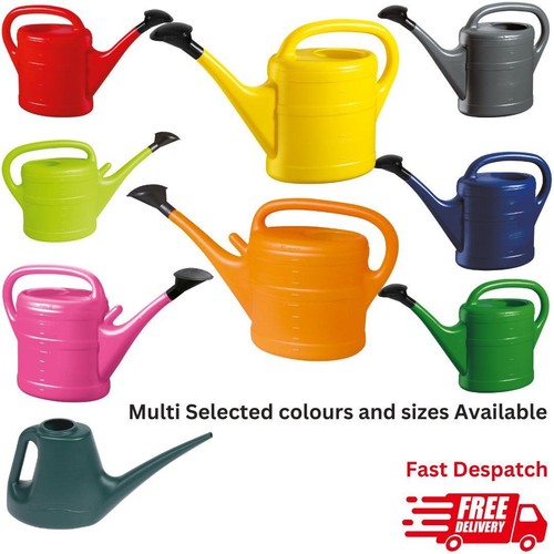 Garden flower plant - garden,