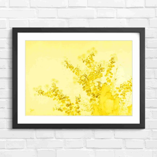 Chinese chrysanthemum garden - chinese,