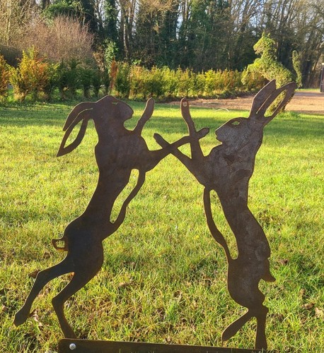 Boxing hares - boxing,