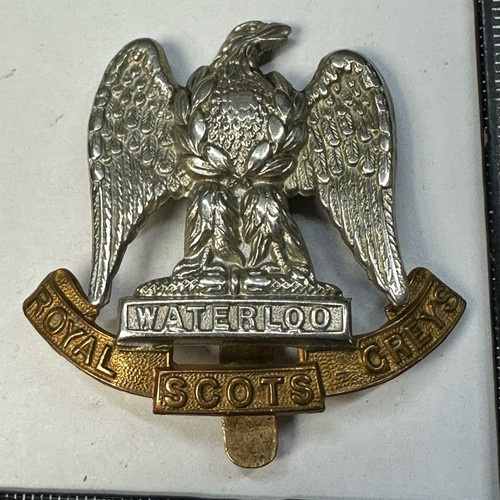 Royal scots greys - scots,