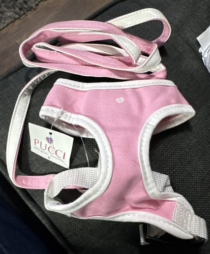 Bnwt pucci designer petwear - pucci,
