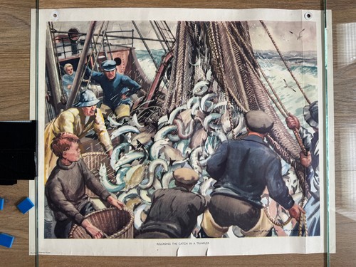 Macmillan school poster - macmillan's,