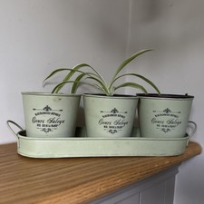 Vintage French Style Windowsill Three Herb Pot Planter Plant Holder Garden Decor