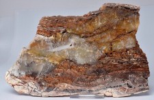 MICROBIAL MAT, Dresser Fmt