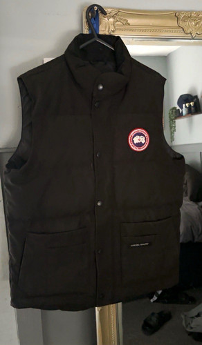 Canada goose arctic - canada,