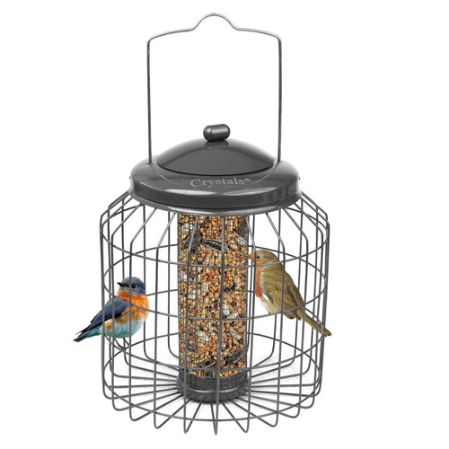 Squirrel proof hanging - hanging, bird