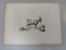 GEORGIAN ETCHING 1822 FARMING