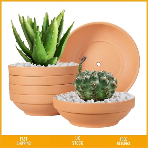 Elegant shallow terra cotta - terra,