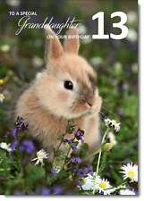 Doodlecards Granddaughter 13th Birthday Card Age 13 Bunny Rabbit