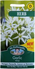 Wild Garlic Seeds Herb by Mr