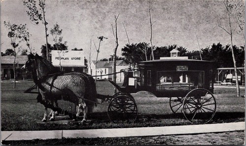 1890 horse drawn - drawn, hearse