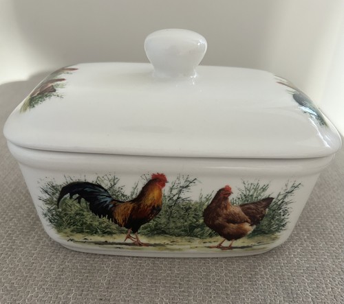 Cockerel chickens lesser - cockerel, &
