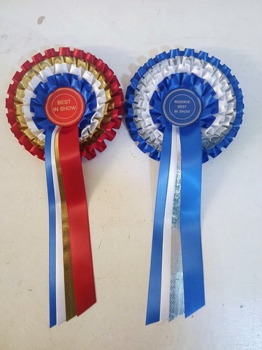 Tier rosette best in - tier, show
