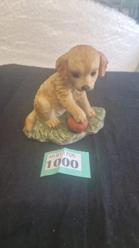 Labrador pup royal - labrador,