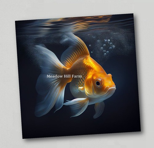 Fridge magnet goldfish classic - fridge,