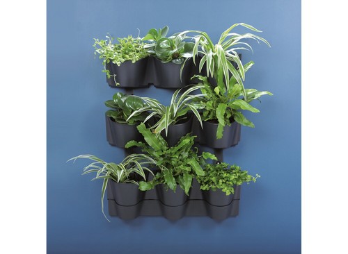 Vertical standing garden - vertical,